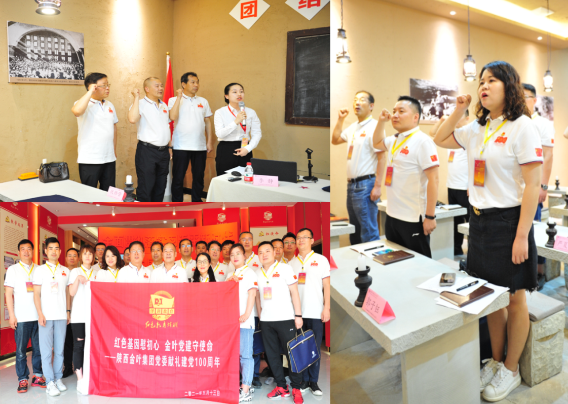 学党史 铭初心 同心同德同筑中国梦    爱于心 践于行 图强图富图绘金叶志——凯时尊龙人生就是博科教集团党委献礼建党100周年培训活动纪事